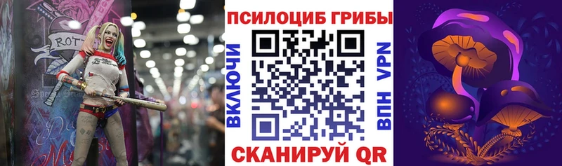 Галлюциногенные грибы Psilocybe  Каменск-Шахтинский 